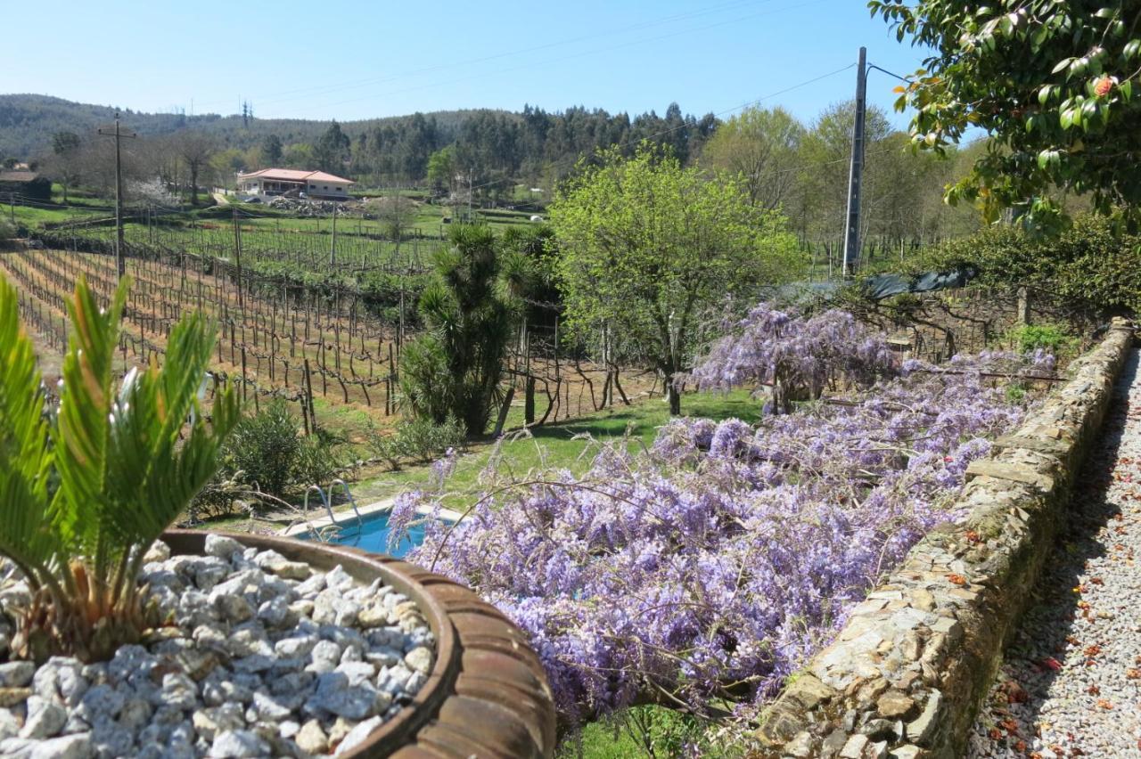 Quinta Das Aranhas Villa Кащело де Пайва Екстериор снимка